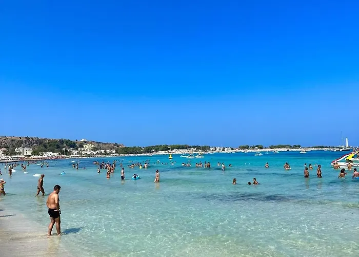 아파트 Domus Mea 카리니